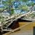 Indian Springs Village Fallen Tree Damage by Elite Facility Management LLC